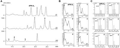 Discovery of Brominated Alboflavusins With Anti-MRSA Activities